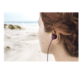 ACME HE21P Earphones With Mic